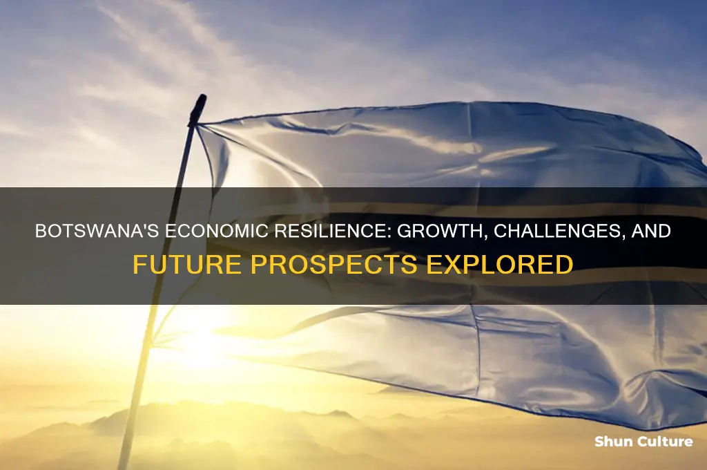 how is botswana economy