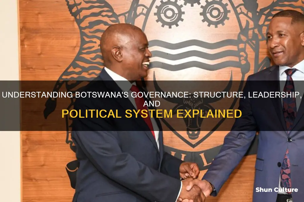 how is botswana governed