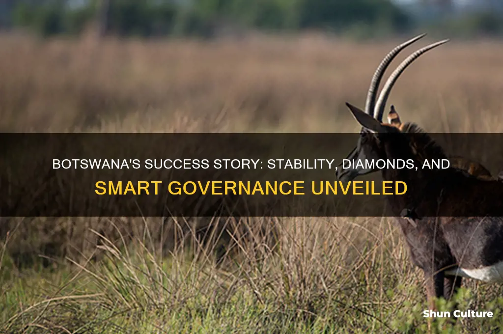how is botswana successful