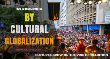Brazil's Cultural Evolution: Globalization's Impact on Traditions and Identity