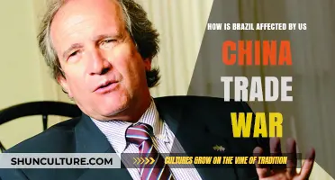 Brazil's Economy Amid US-China Trade War: Impacts and Opportunities