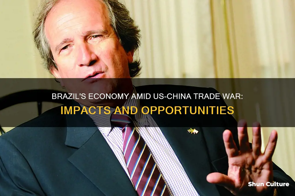 how is brazil affected by us china trade war