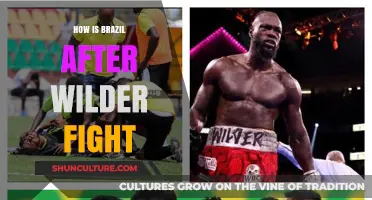 Brazil's Reaction to Wilder Fight: Aftermath and National Sentiment