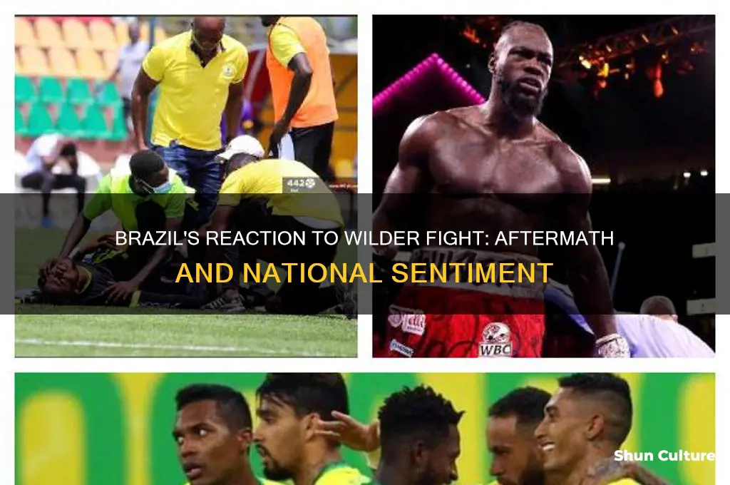 how is brazil after wilder fight