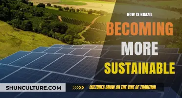 Brazil's Green Revolution: Innovations Driving Sustainable Development Nationwide