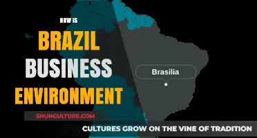 Exploring Brazil's Business Climate: Opportunities, Challenges, and Growth Potential