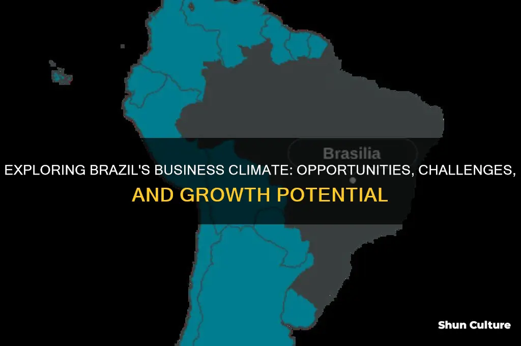 how is brazil business environment