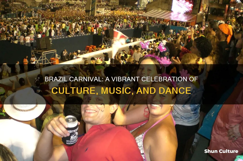 how is brazil carnival celebrated