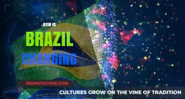 Brazil's Transformation: Economic, Social, and Cultural Shifts Shaping the Nation