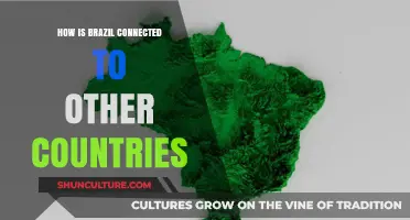 Brazil's Global Connections: Trade, Culture, and Diplomacy Across Borders
