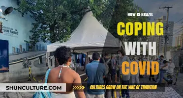 Brazil's COVID-19 Battle: Resilience, Challenges, and Recovery Strategies