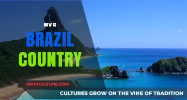 Exploring Brazil's Culture, Economy, and Natural Wonders: A Comprehensive Guide