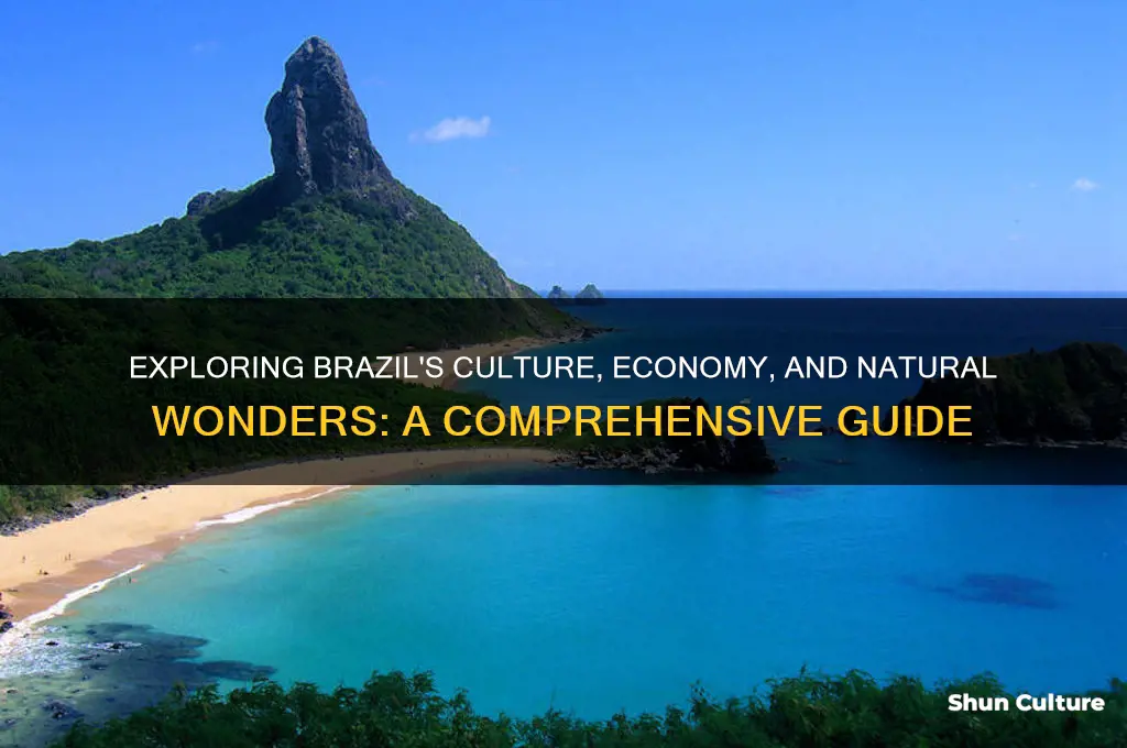 how is brazil country