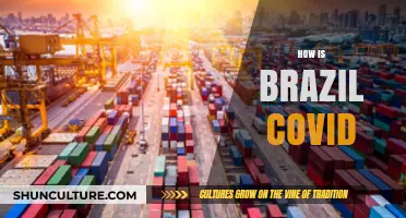 Brazil's COVID-19 Battle: Current Status, Challenges, and Recovery Efforts