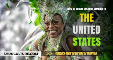 Shared Rhythms: Brazil and USA's Cultural Parallels Explored