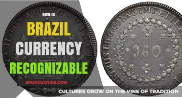 Distinct Features of Brazil's Currency: Recognizing the Real's Unique Design