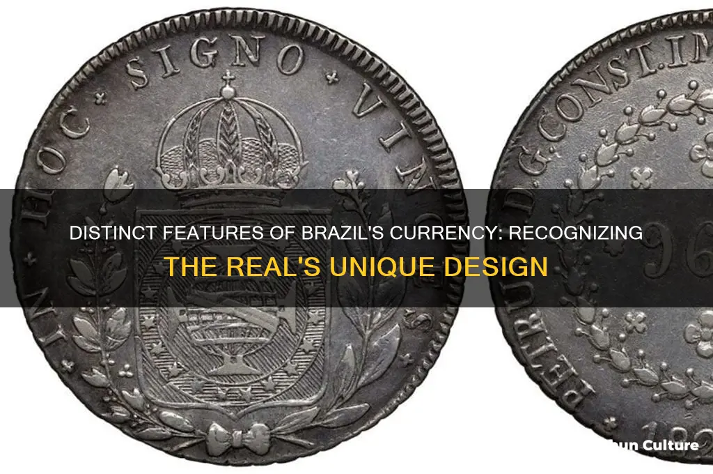 how is brazil currency recognizable