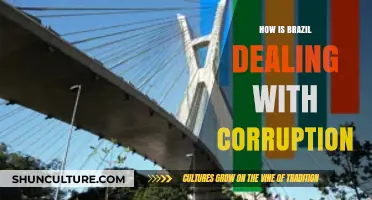 Brazil's Anti-Corruption Battle: Progress, Challenges, and Future Strategies