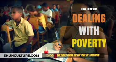 Brazil's Fight Against Poverty: Strategies, Challenges, and Progress