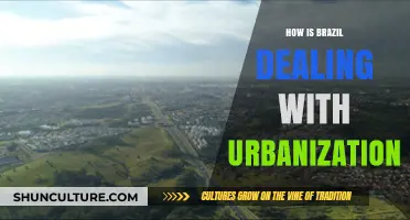 Brazil's Urbanization Challenge: Strategies for Sustainable City Growth