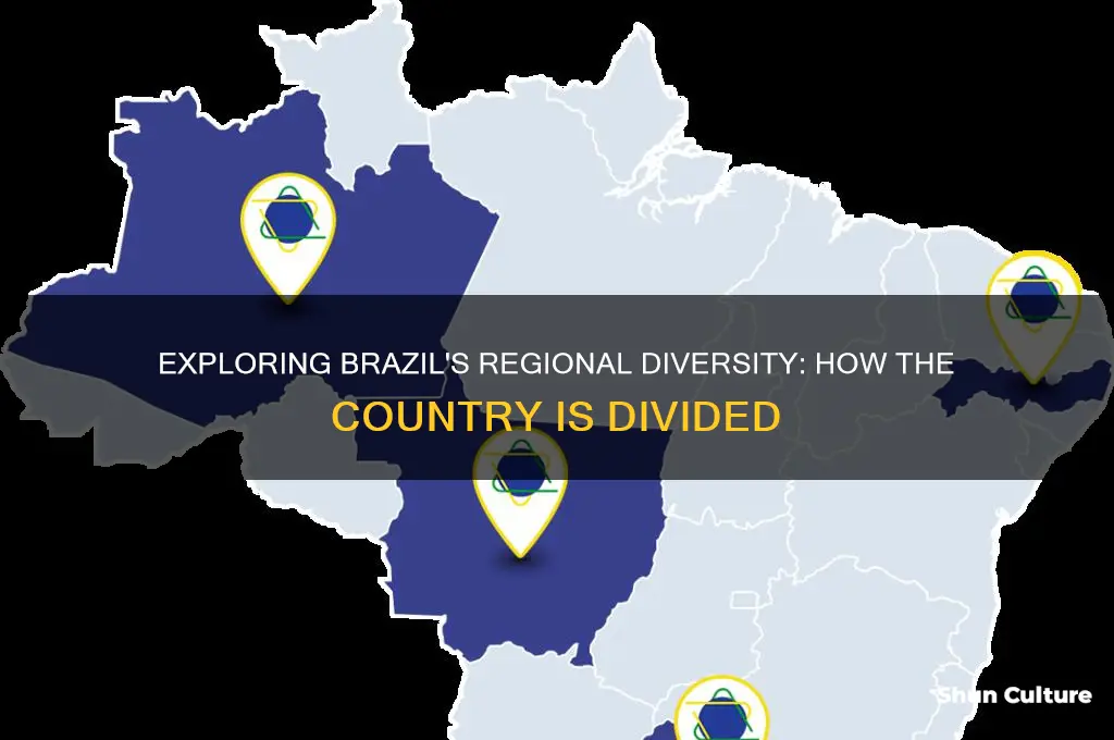 how is brazil devided
