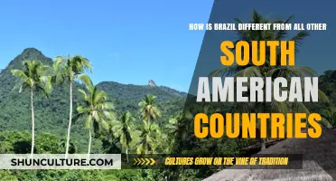 Brazil's Unique Identity: Contrasting Culture, Economy, and Geography in South America