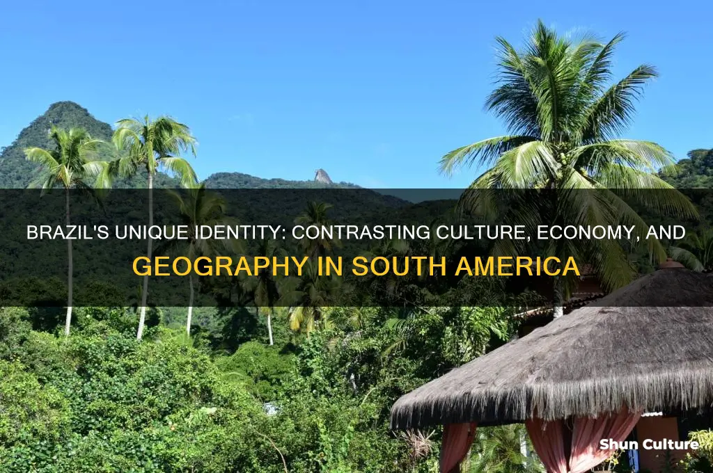 how is brazil different from all other south american countries