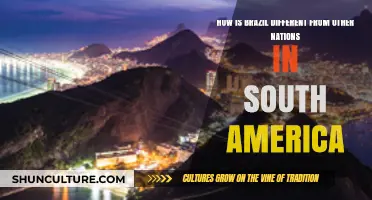 Brazil's Unique Identity: Contrasting Culture, Economy, and Geography in South America