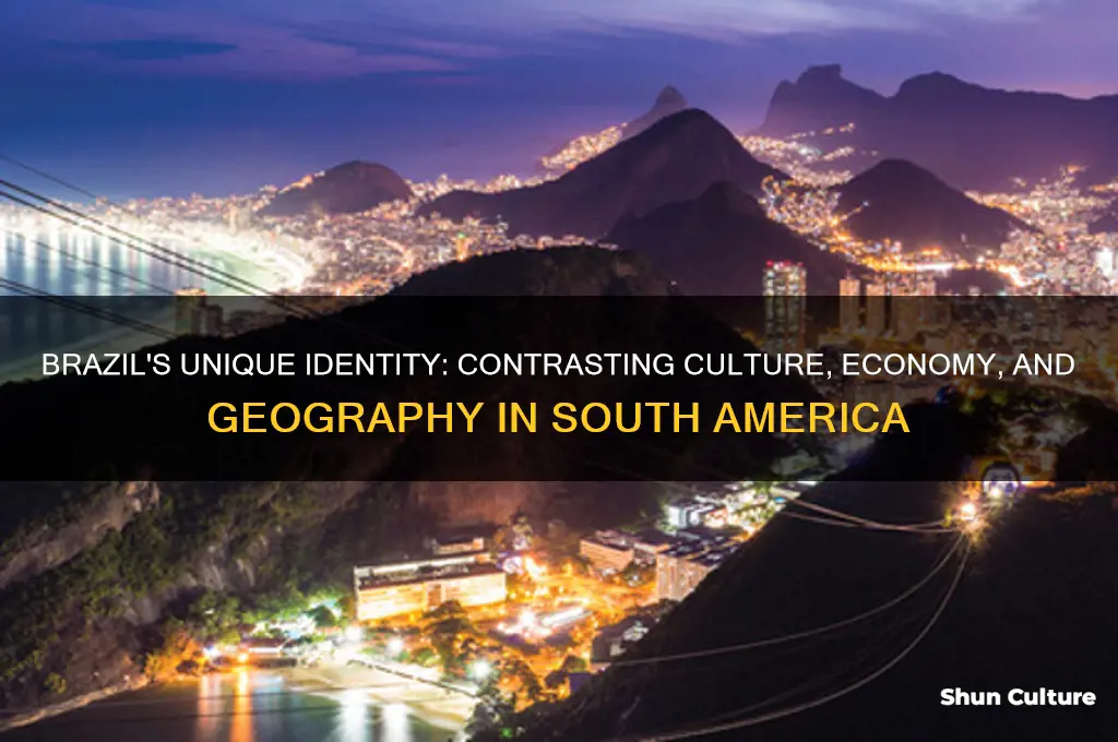 how is brazil different from other nations in south america