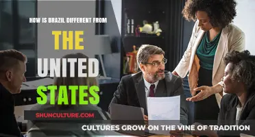 Brazil vs. USA: Cultural, Social, and Economic Differences Explored