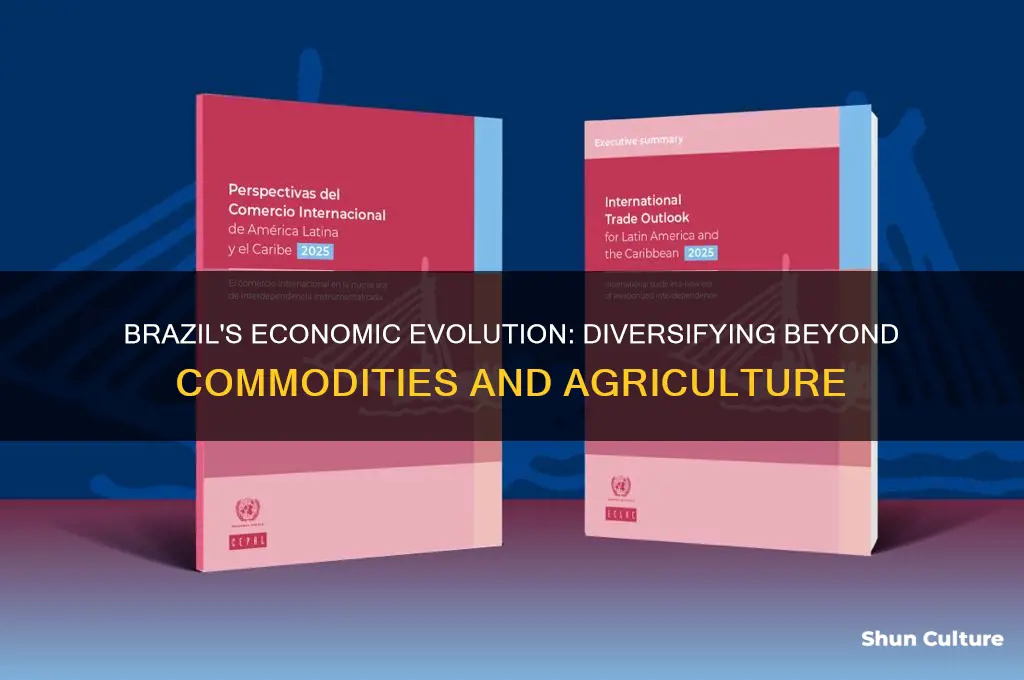 how is brazil diversifying its economy