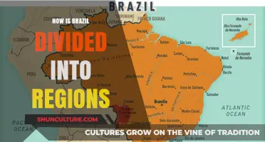 Exploring Brazil's Regional Diversity: A Comprehensive Division Guide