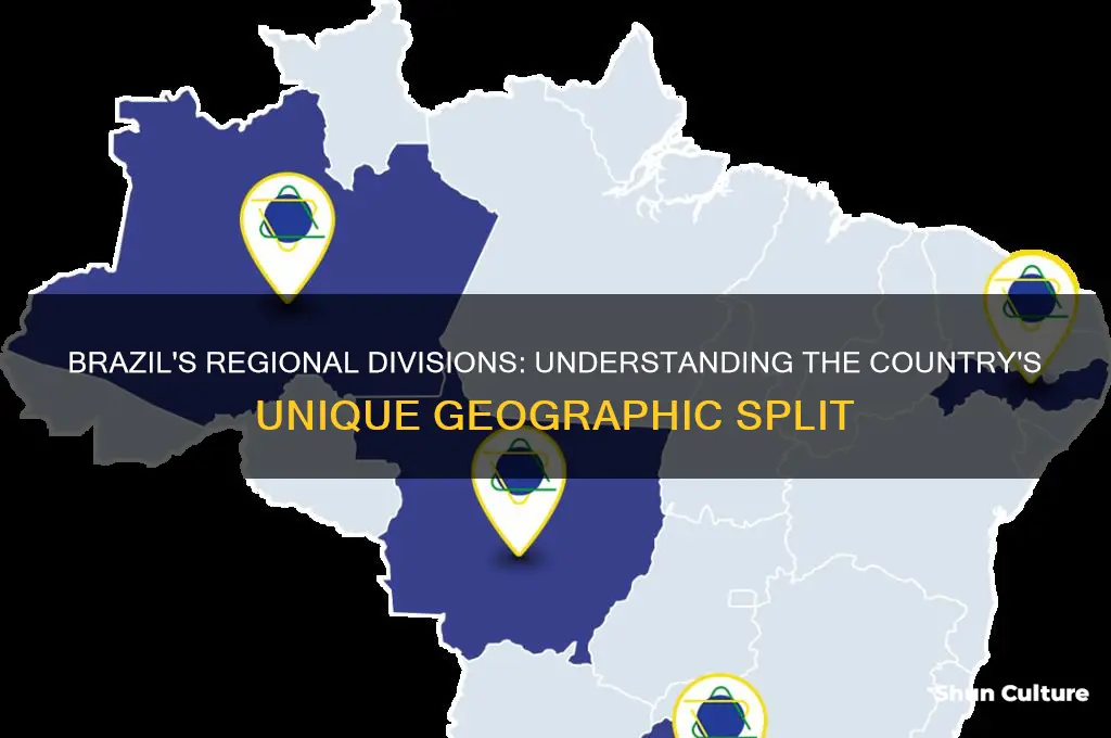 how is brazil divided