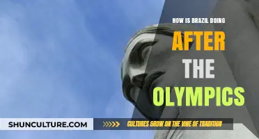 Brazil's Post-Olympics Legacy: Challenges, Progress, and Future Prospects