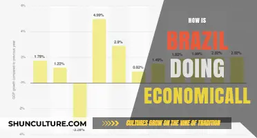 Brazil's Economic Performance: Growth, Challenges, and Future Prospects