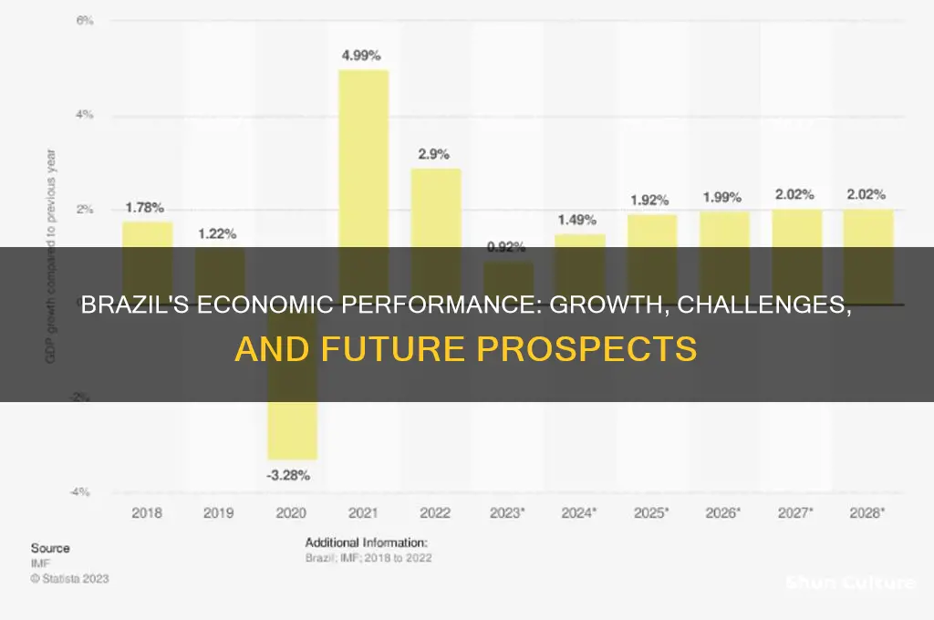 how is brazil doing economically