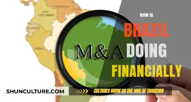 Brazil's Financial Health: Economic Trends, Challenges, and Future Prospects