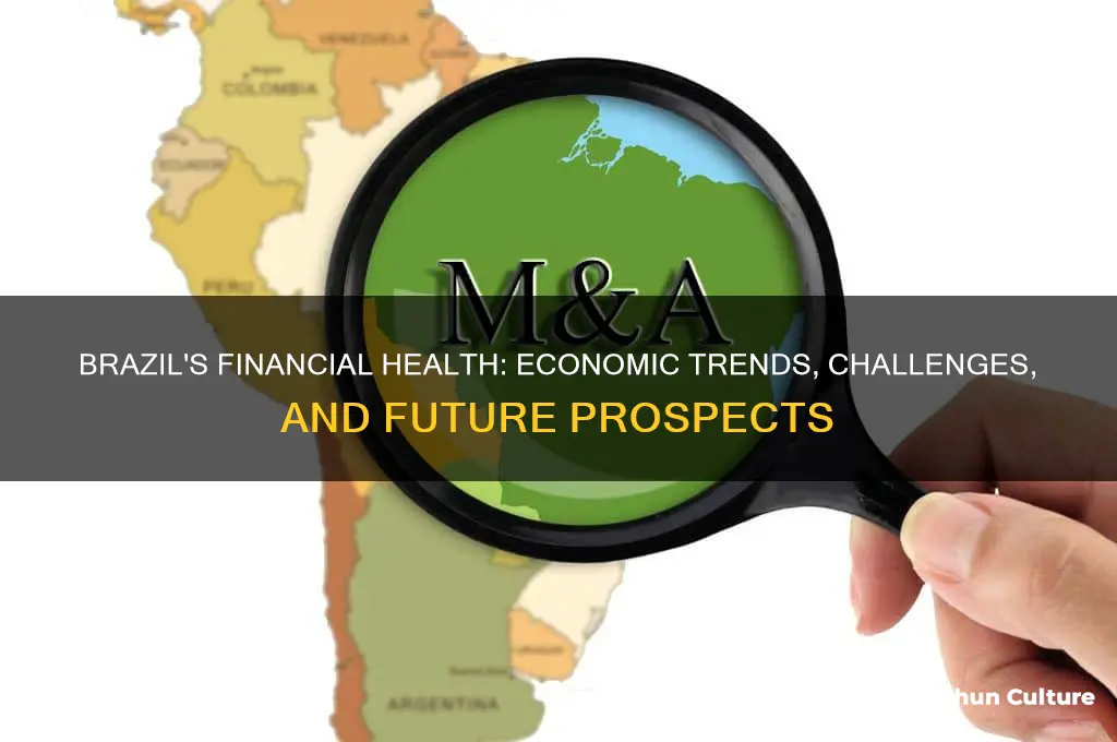 how is brazil doing financially