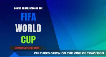 Brazil's FIFA World Cup Journey: Performance, Highlights, and Future Prospects