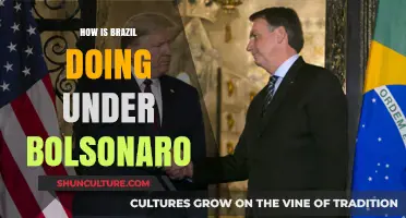 Brazil Under Bolsonaro: Economic, Social, and Environmental Shifts Analyzed