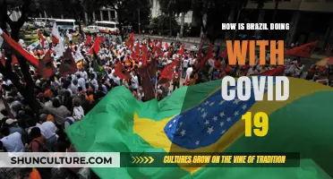 Brazil's COVID-19 Battle: Progress, Challenges, and Current Situation