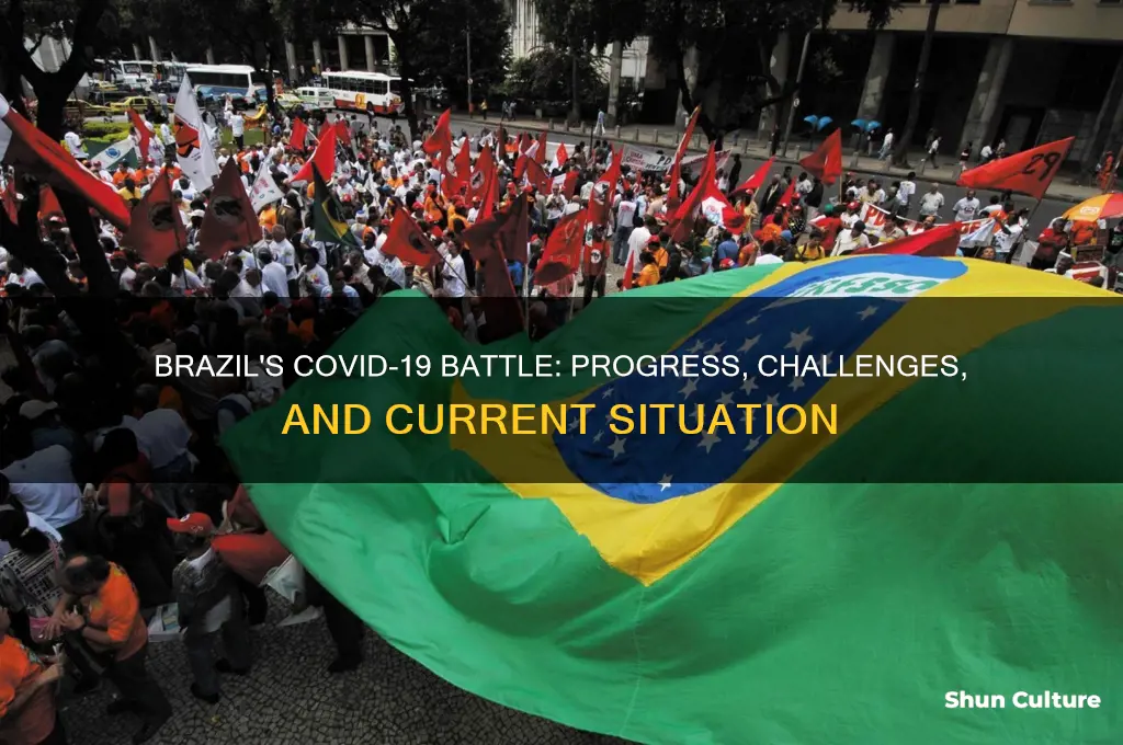 how is brazil doing with covid 19
