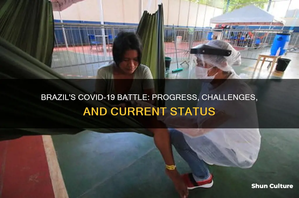 how is brazil doing with the virus