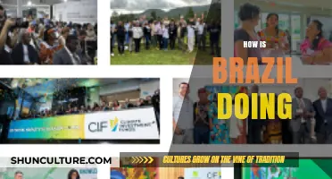 Brazil's Progress: Economy, Politics, and Social Changes in Focus