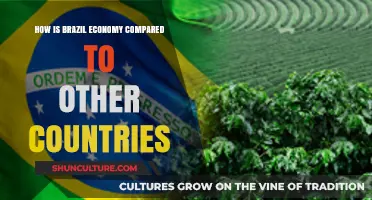 Brazil's Economic Standing: A Global Comparison and Analysis