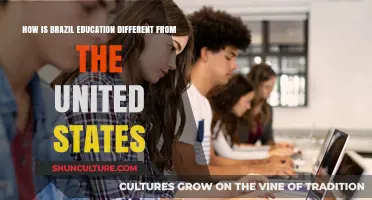 Brazil vs. USA: Contrasting Education Systems and Cultural Impacts