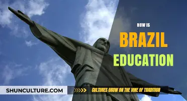 Exploring Brazil's Education System: Challenges, Innovations, and Future Prospects
