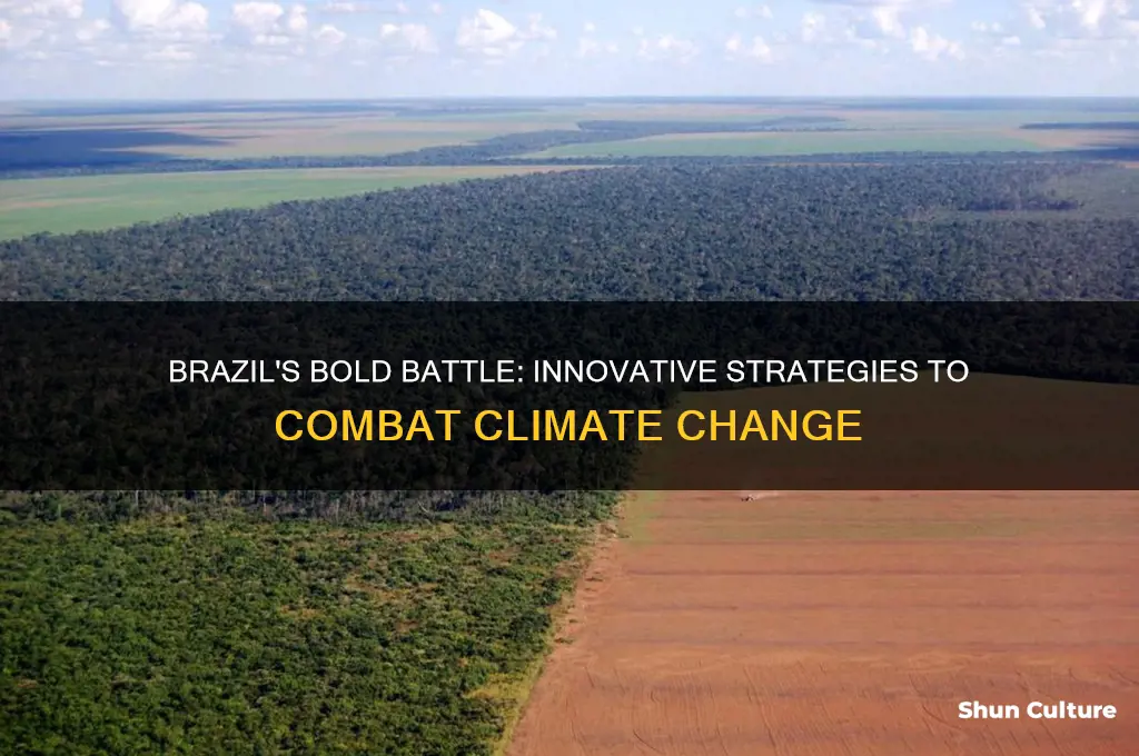 how is brazil fighting climate change