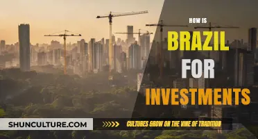 Brazil's Investment Potential: Opportunities, Risks, and Economic Outlook Explored
