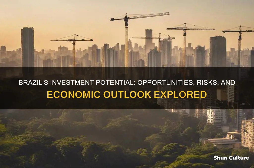 how is brazil for investments